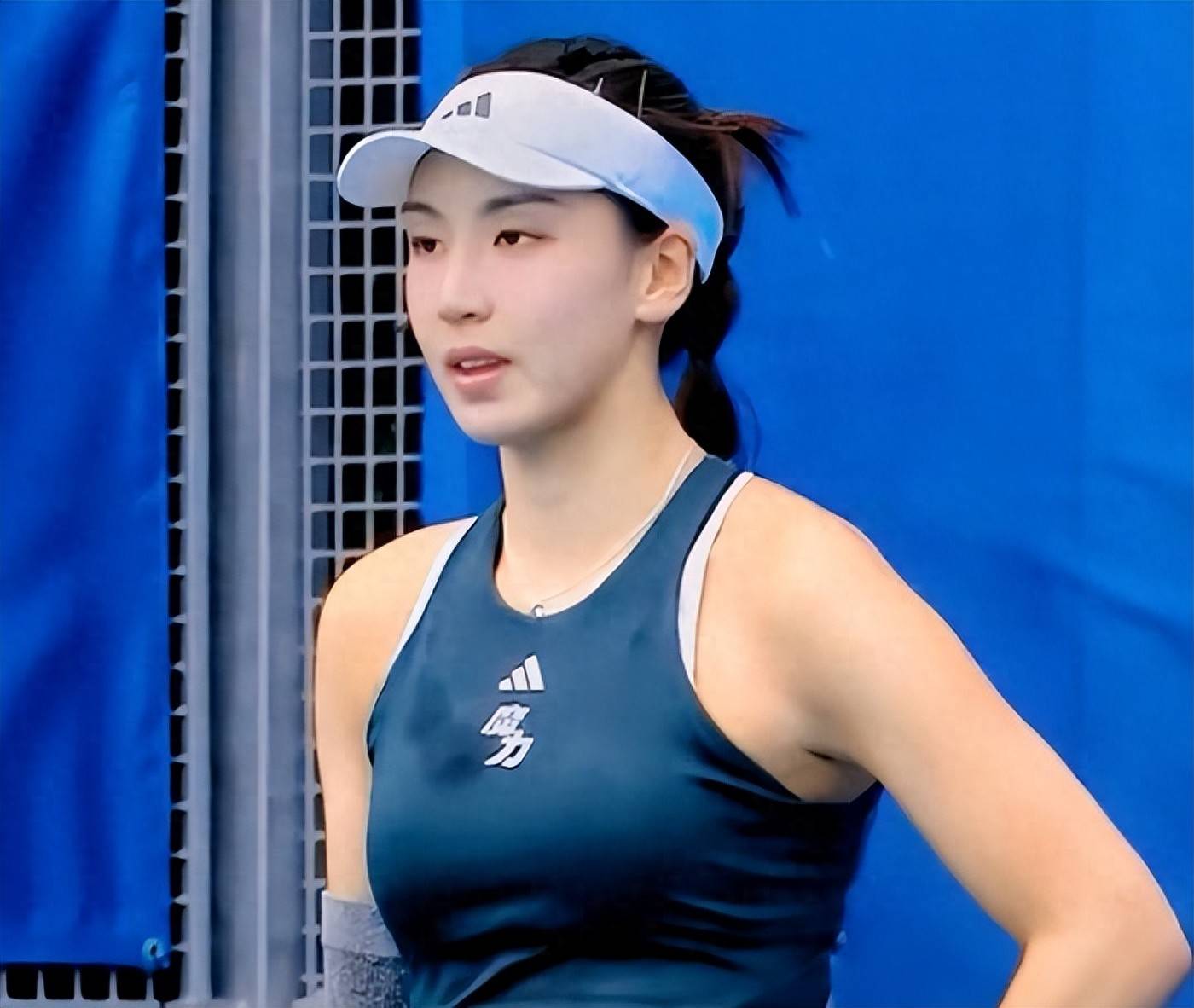 功臣退役 功臣退役