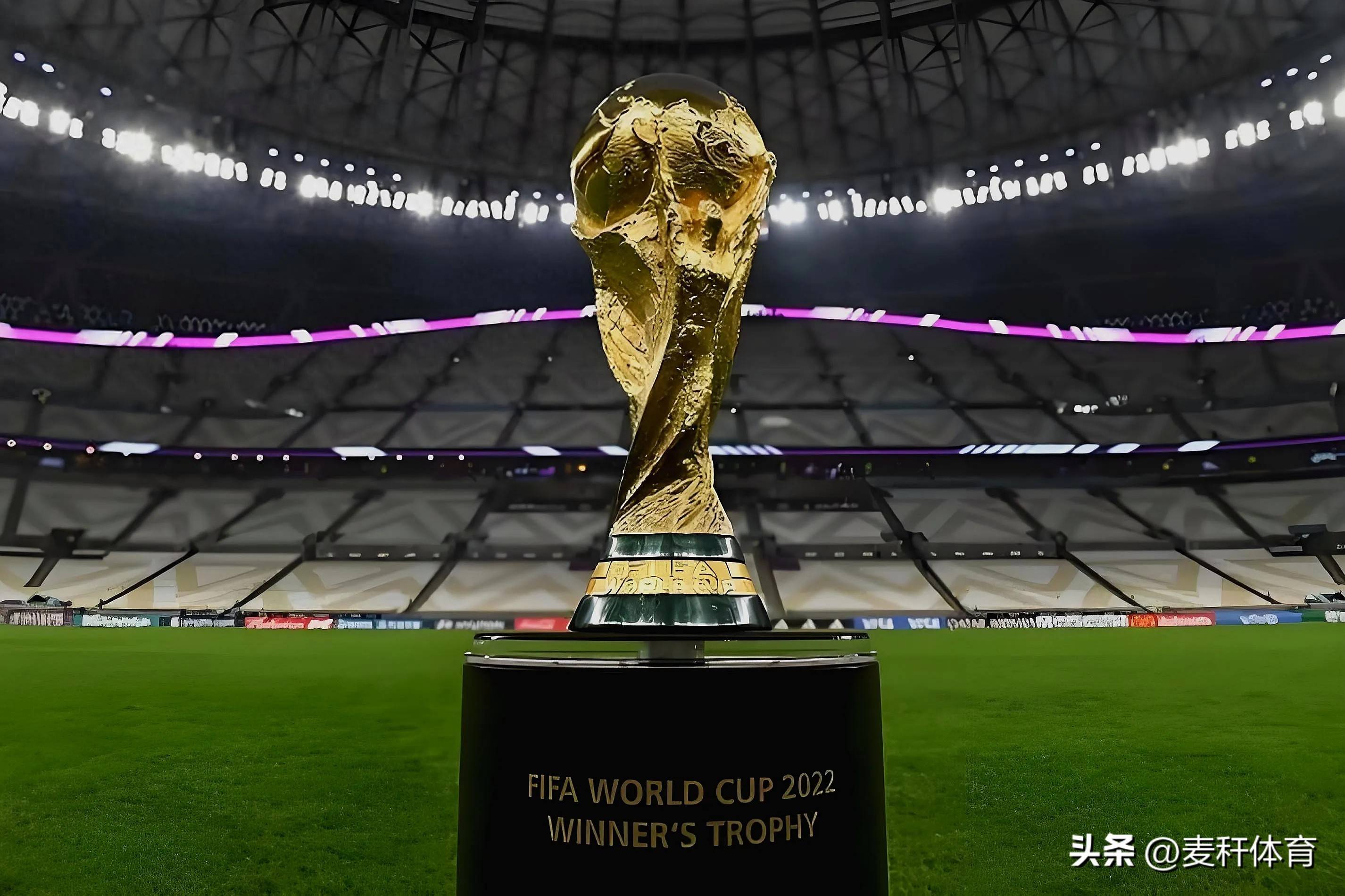 这样的表现 这样的表现