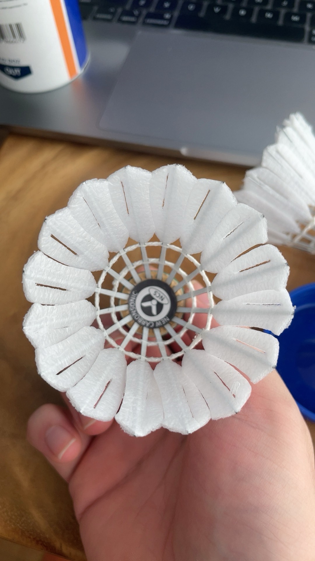 开场蓄势起 开场蓄势起